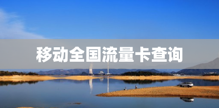 移动全国流量卡查询