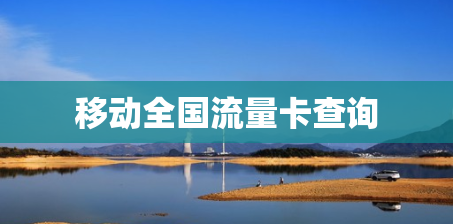 移动全国流量卡查询