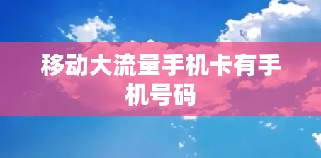 移动大流量手机卡有手机号码