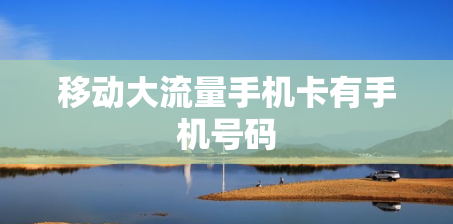 移动大流量手机卡有手机号码