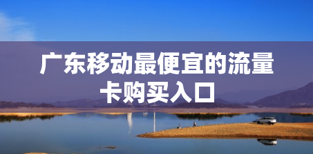 广东移动最便宜的流量卡购买入口