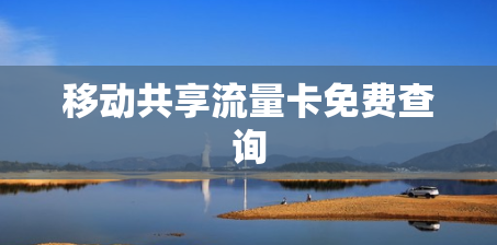 移动共享流量卡免费查询