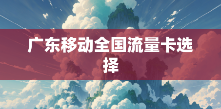 广东移动全国流量卡选择