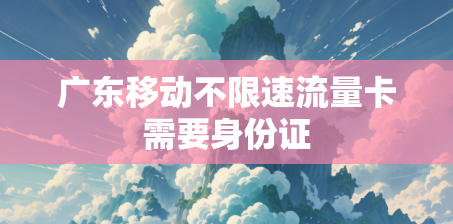 广东移动不限速流量卡需要身份证