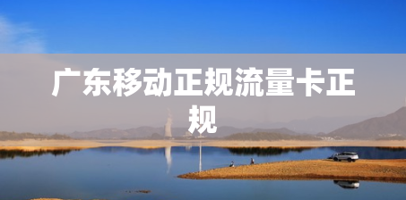 广东移动正规流量卡正规
