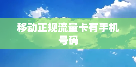 移动正规流量卡有手机号码
