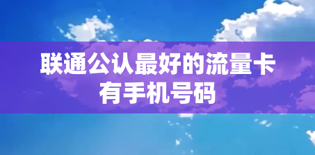 联通公认最好的流量卡有手机号码