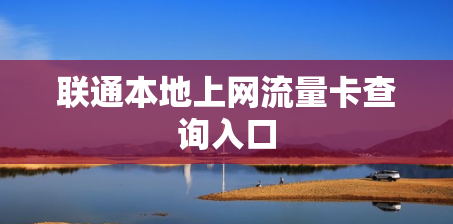 联通本地上网流量卡查询入口