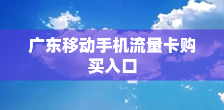 广东移动手机流量卡购买入口