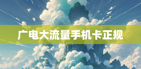 广电大流量手机卡正规