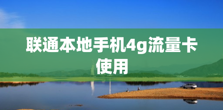 联通本地手机4g流量卡使用