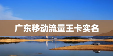 广东移动流量王卡实名