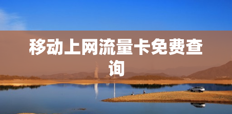 移动上网流量卡免费查询