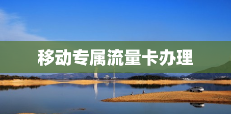 移动专属流量卡办理