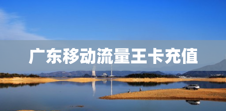 广东移动流量王卡充值