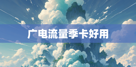 广电流量季卡好用