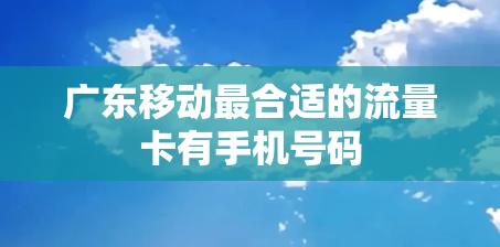 广东移动最合适的流量卡有手机号码