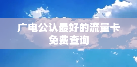 广电公认最好的流量卡免费查询