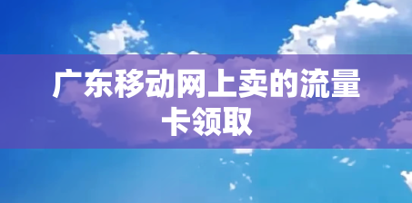 广东移动网上卖的流量卡领取
