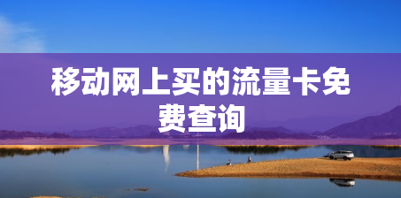 移动网上买的流量卡免费查询