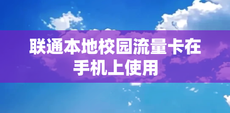 联通本地校园流量卡在手机上使用