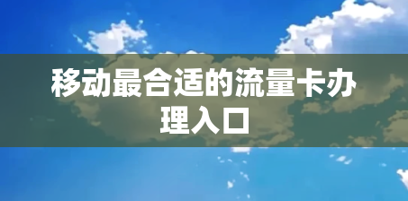 移动最合适的流量卡办理入口