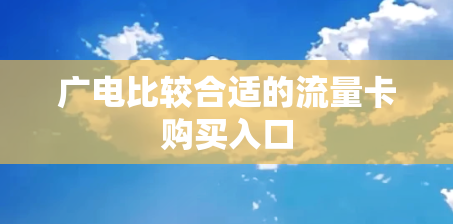 广电比较合适的流量卡购买入口