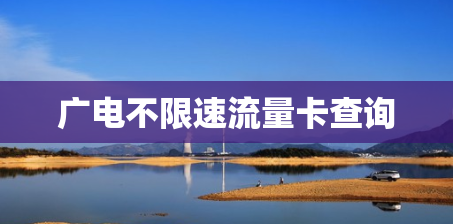 广电不限速流量卡查询