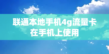 联通本地手机4g流量卡在手机上使用