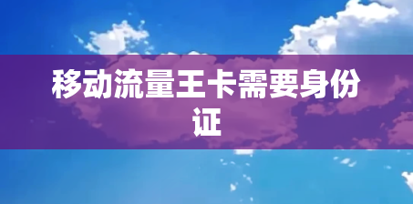 移动流量王卡需要身份证
