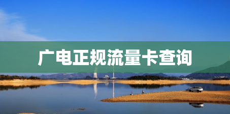 广电正规流量卡查询