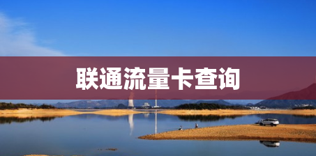 联通流量卡查询