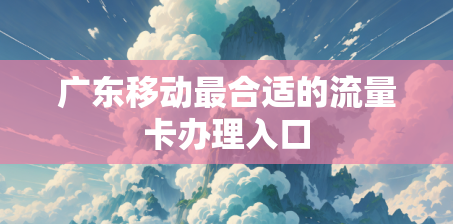 广东移动最合适的流量卡办理入口