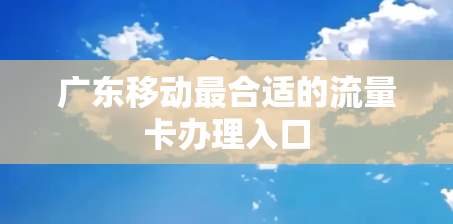 广东移动最合适的流量卡办理入口