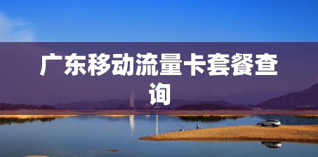 广东移动流量卡套餐查询