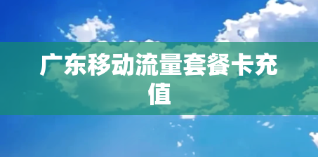广东移动流量套餐卡充值