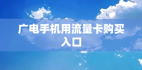 广电手机用流量卡购买入口