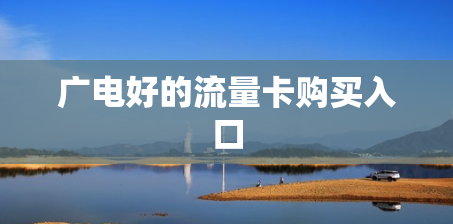 广电好的流量卡购买入口