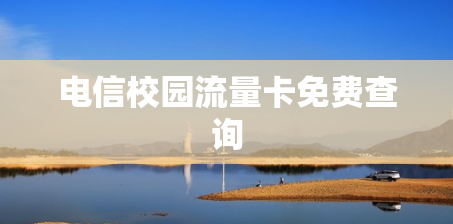 电信校园流量卡免费查询