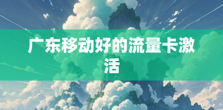 广东移动好的流量卡激活