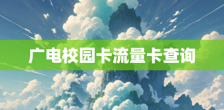 广电校园卡流量卡查询
