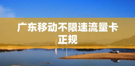 广东移动不限速流量卡正规