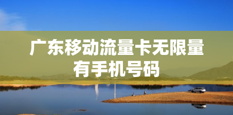 广东移动流量卡无限量有手机号码