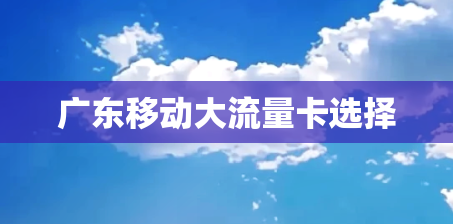 广东移动大流量卡选择