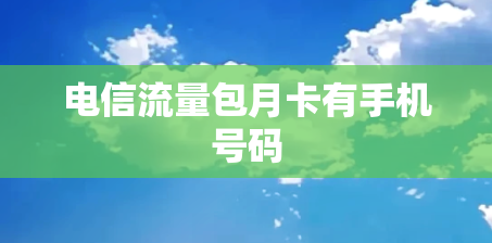 电信流量包月卡有手机号码