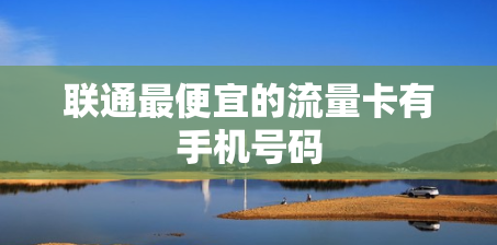 联通最便宜的流量卡有手机号码