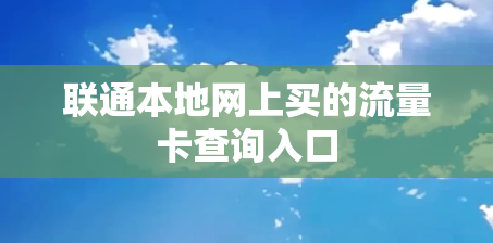 联通本地网上买的流量卡查询入口