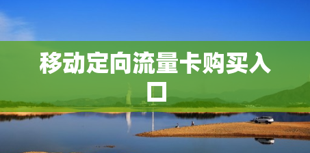移动定向流量卡购买入口