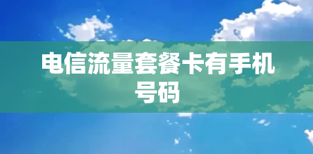 电信流量套餐卡有手机号码