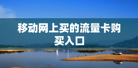 移动网上买的流量卡购买入口